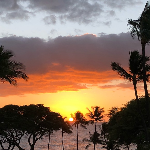 Meet your Posher, Brigeeta - Picture 1 of 1